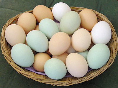 О куриных яйцах и холестерине