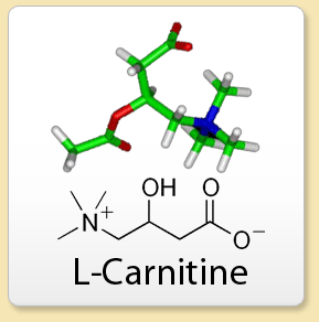 L-Карнитин или Левокарнитин